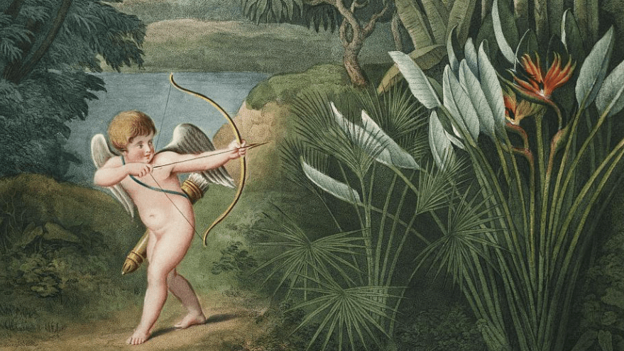 Onion News Network Scores Dismal 79 Jords on Leikman-Gonad&nbsp;Scale