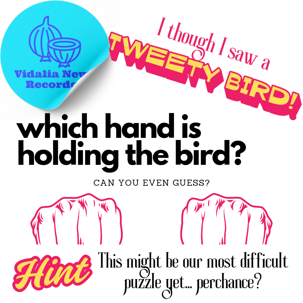 Magician’s Puzzle – Which Hand Has the Bird?!