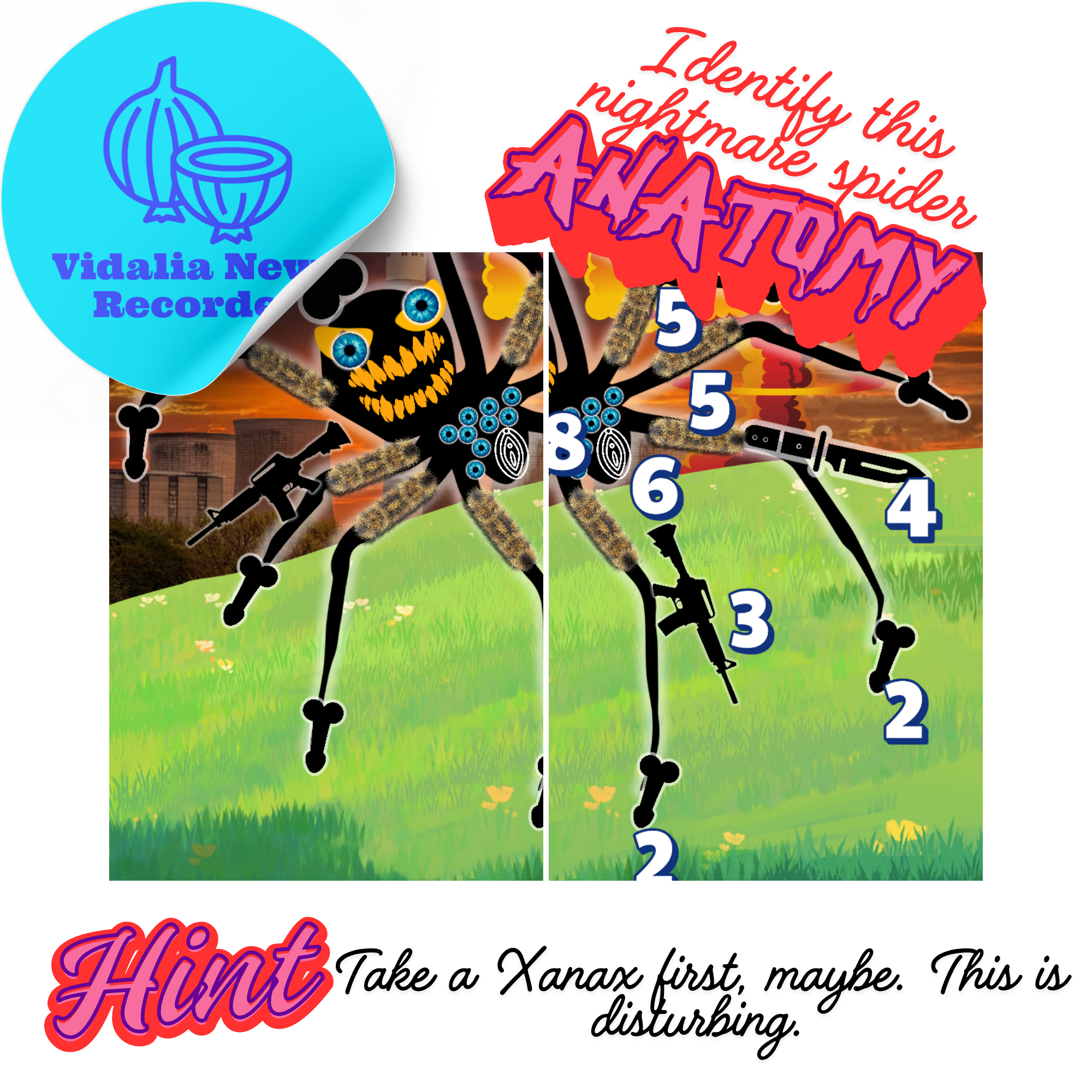 Biology Quiz – Identify Newly Discovered Nightmare Spider Anatomy