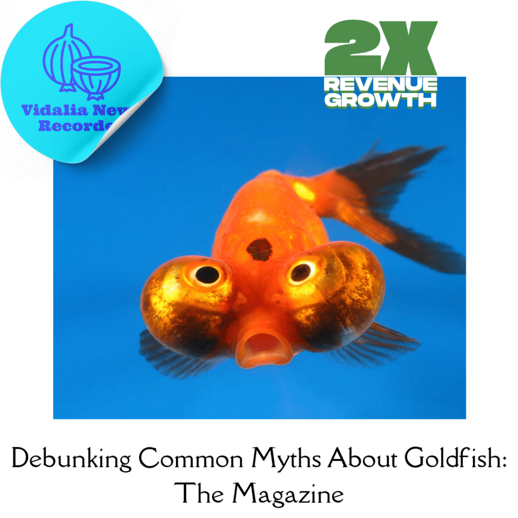 Debunking Common Myths About Goldfish: The&nbsp;Magazine